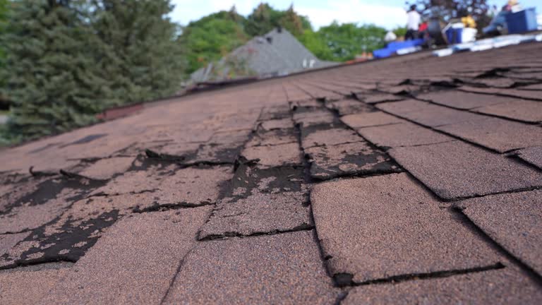 Best Rubber Roofing (EPDM, TPO)  in Madison Heights, MI