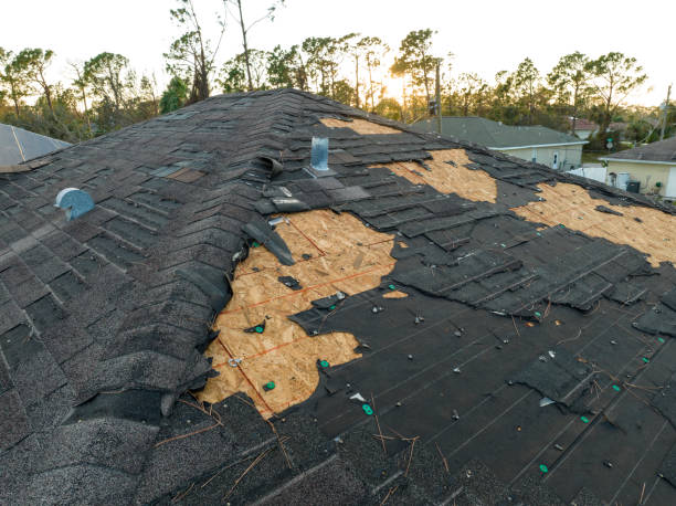 Best Storm Damage Roof Repair  in Madison Heights, MI