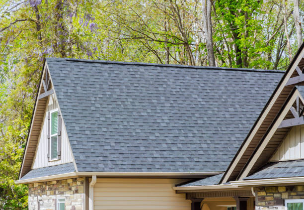 Best Chimney Flashing Repair  in Madison Heights, MI