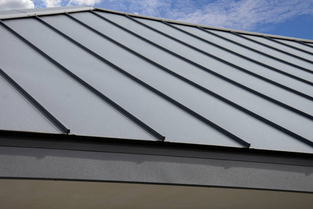 Best Roof Maintenance and Cleaning  in Madison Heights, MI