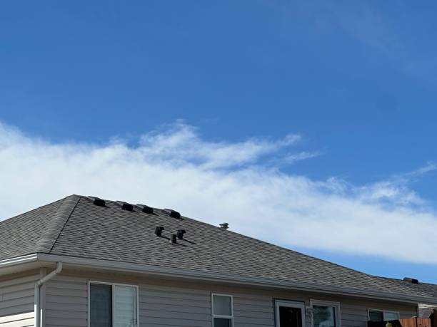 Fast & Reliable Emergency Roof Repairs in Madison Heights, MI